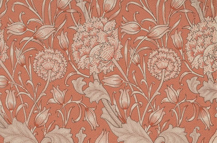 Wild tulip wallpaper design in red and pink