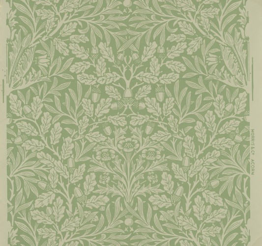 Acorn wallpaper - William Morris Gallery
