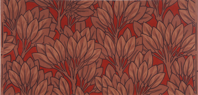 Sprigs of light brown bay leaves on red background