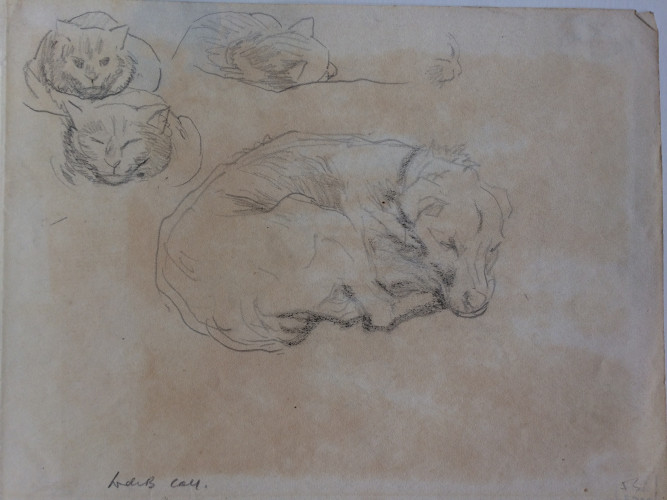 two sketches of cats and dog