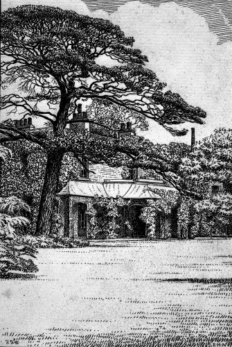 Drawing of a house surrounded by trees