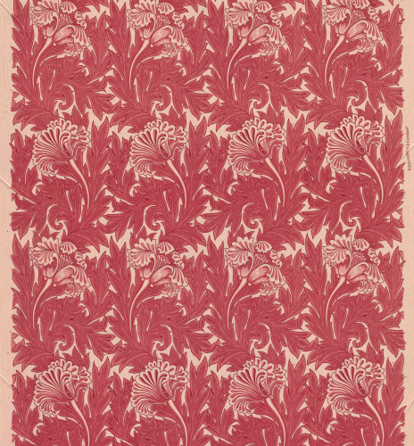 A printed textile in two shades of red showing a repeating floral pattern