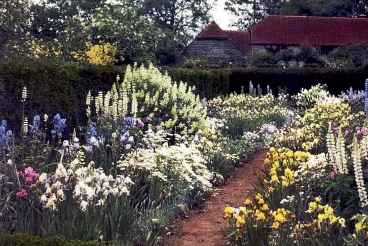 Munstead: Iris and Lupin Boarder c.1911