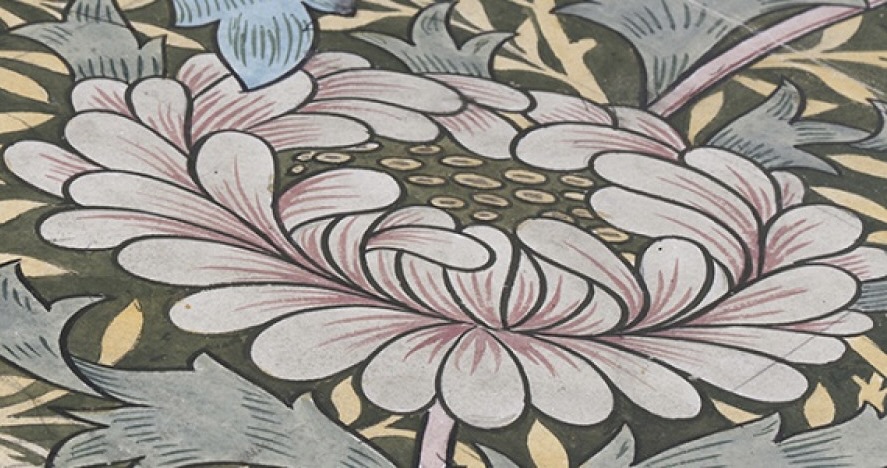 Partially coloured drawing showing close up of a flower head